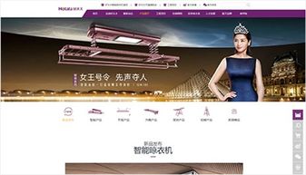 广东好太太科技集团 万户网络网站建设案例